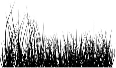 Black Grass Vector at GetDrawings | Free download