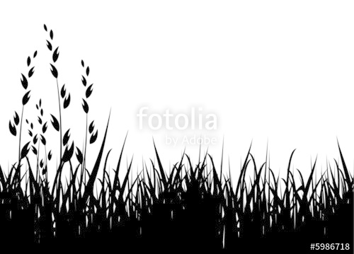 500x359 Grass Vector Illustration Horizontal Black Silhouette Stock