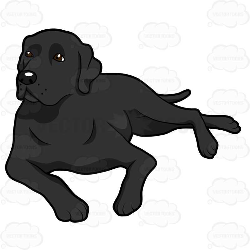 Black Lab Vector at GetDrawings | Free download