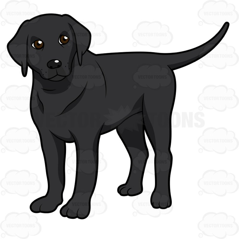 Black Lab Vector at GetDrawings | Free download