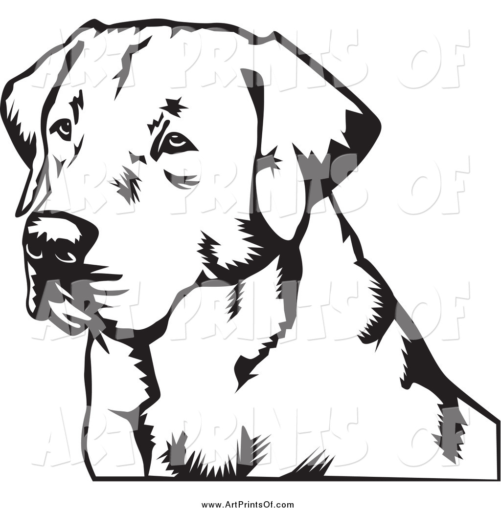 Black Lab Vector at GetDrawings | Free download