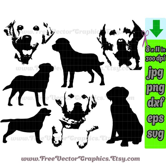 570x570 Labrador Dog Svg Vector Files Clip Art Lab Silhouette Yellow Etsy