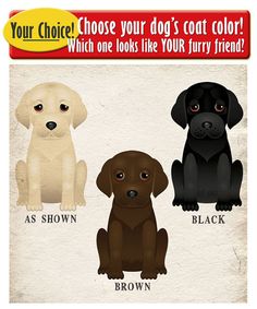 236x283 Black Lab Clip Art