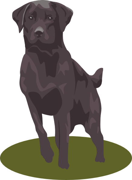 438x596 Black Lab Clip Art