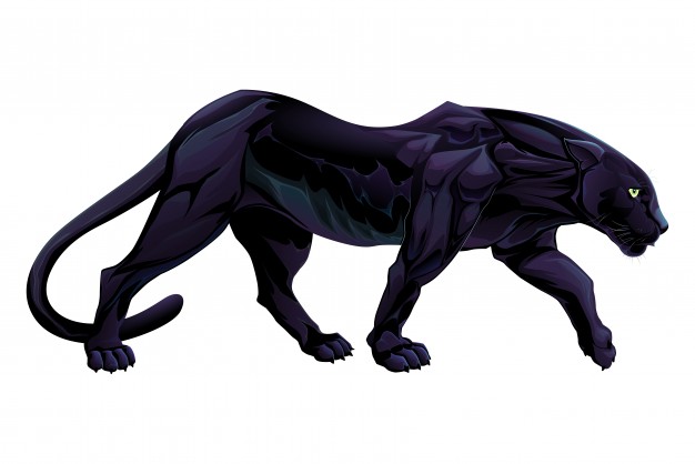 626x418 Panther Vectors, Photos And Psd Files Free Download
