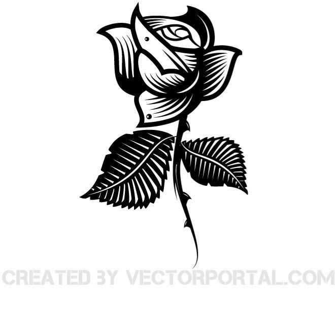 660x660 Black Rose Vector Drawing By Vectorportal