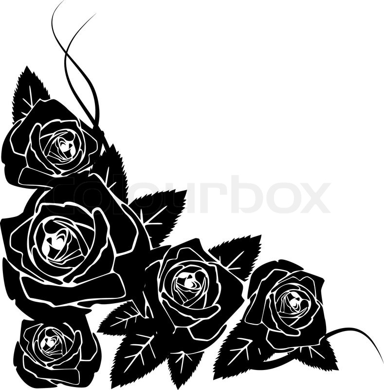 789x800 Background Made From Black Roses Stock Vector Colourbox