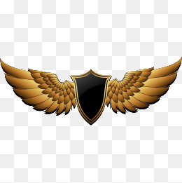 260x261 Black Triangle Png Images Vectors And Psd Files Free Download