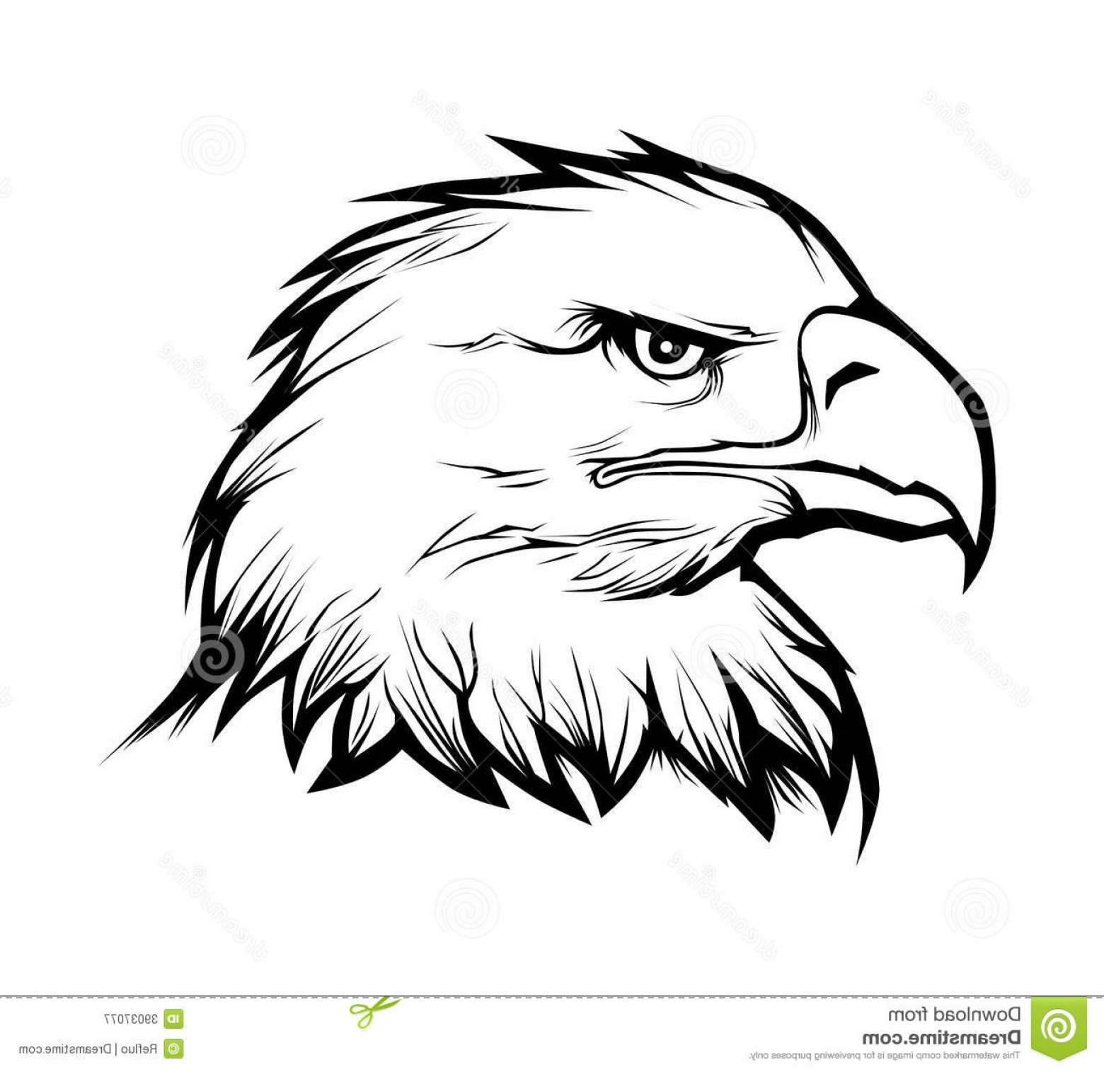 1560x1515 American Eagle Head Vector Art Geekchicpro