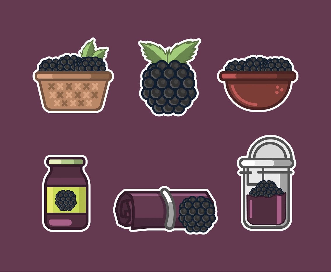 1136x936 Blackberry Vector In Thick Line Vector Art Amp Graphics