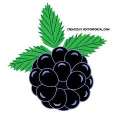 230x230 Blackberry Vector Clip Art By Vectorportal