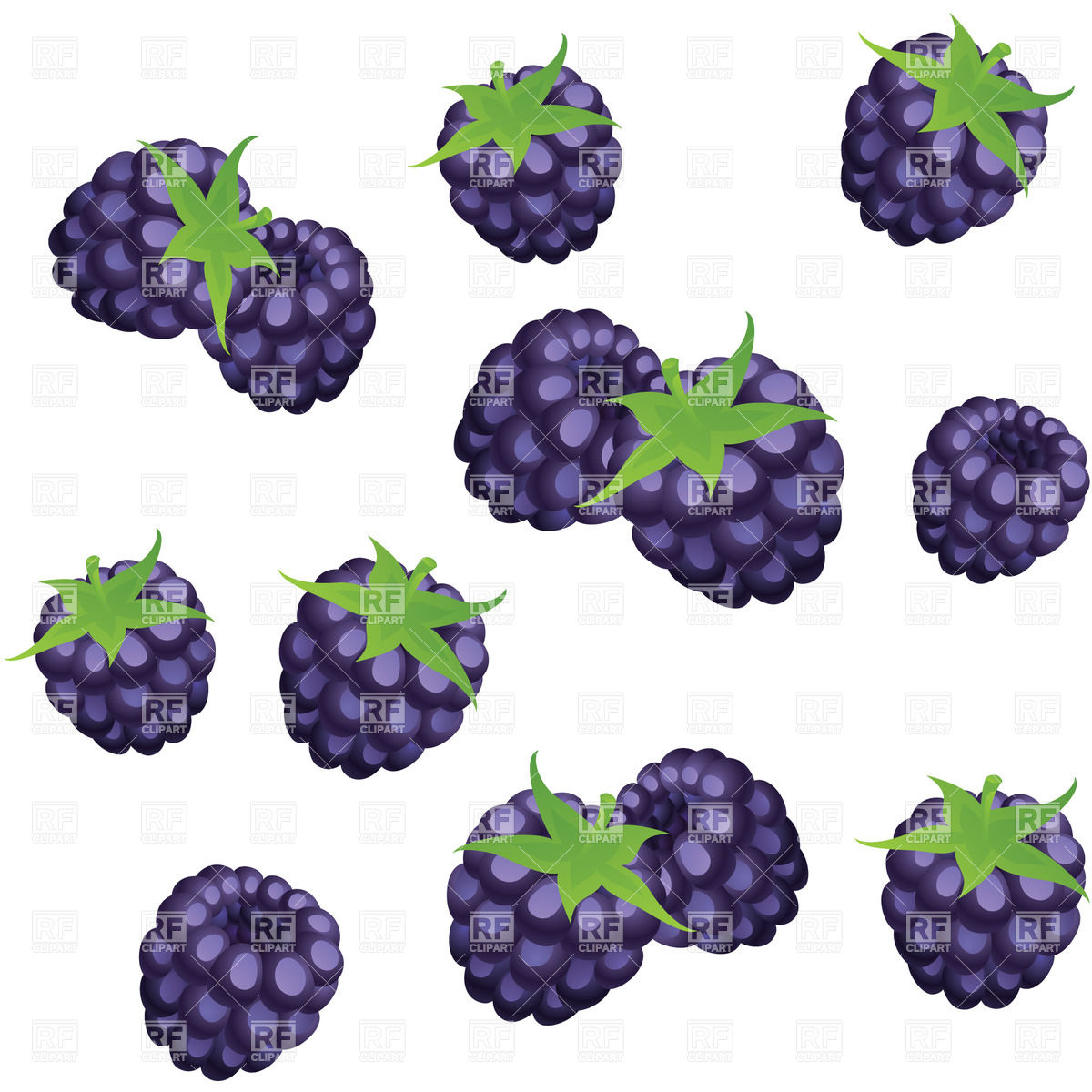 1200x1200 Cartoon Blackberries Vector Image Vector Artwork Of Food And