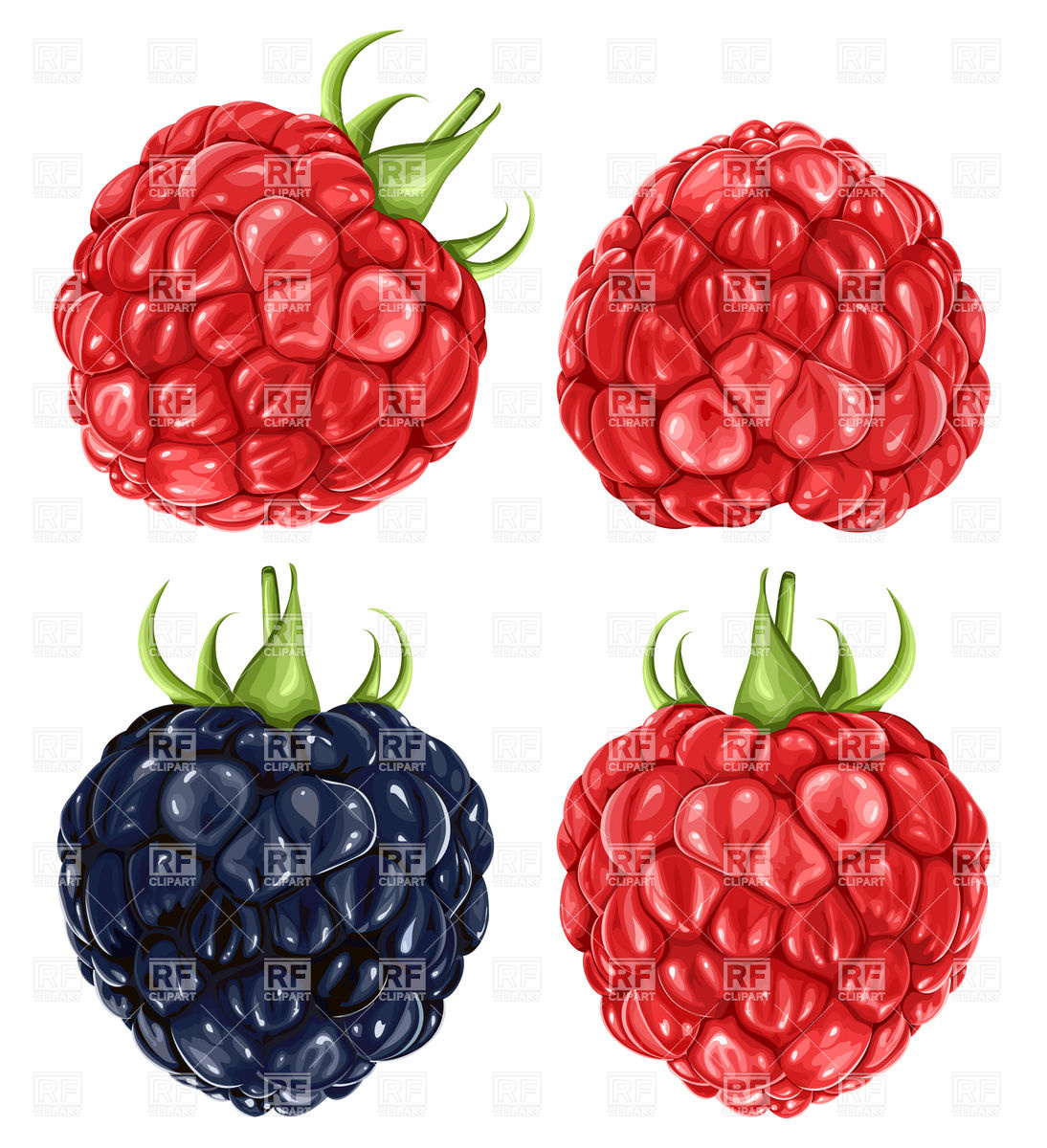 1094x1200 Raspberries And Blackberry Vector Image Vector Artwork Of Food