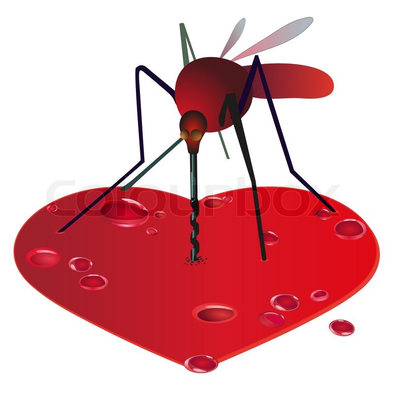 800x800 Mosquito On The Red Bleeding Heart Stock Vector Colourbox