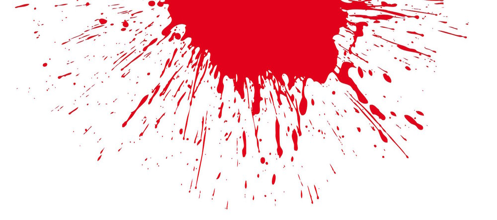 1000x443 Programs For 3 Year Olds Saugatuck Nursery School