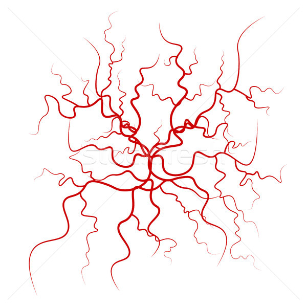 600x600 Blood Stock Vectors, Illustrations And Cliparts Stockfresh