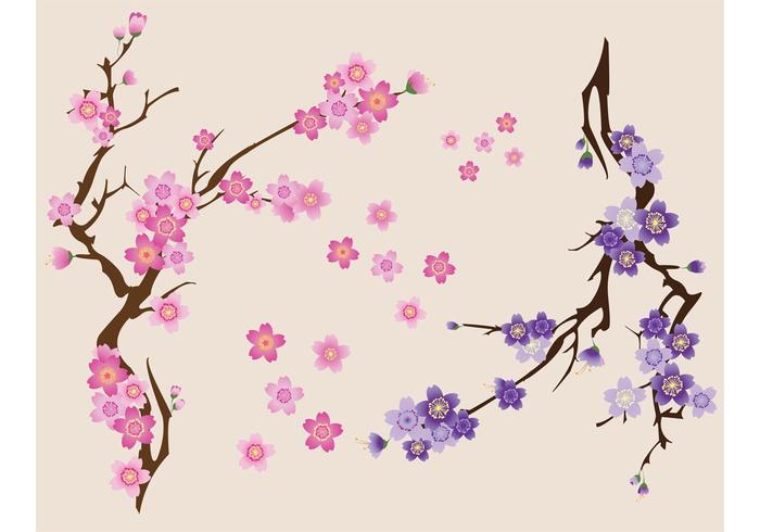 700x490 Free Cherry Blossoms Vector