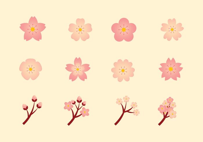 700x490 Peach Blossom Vector