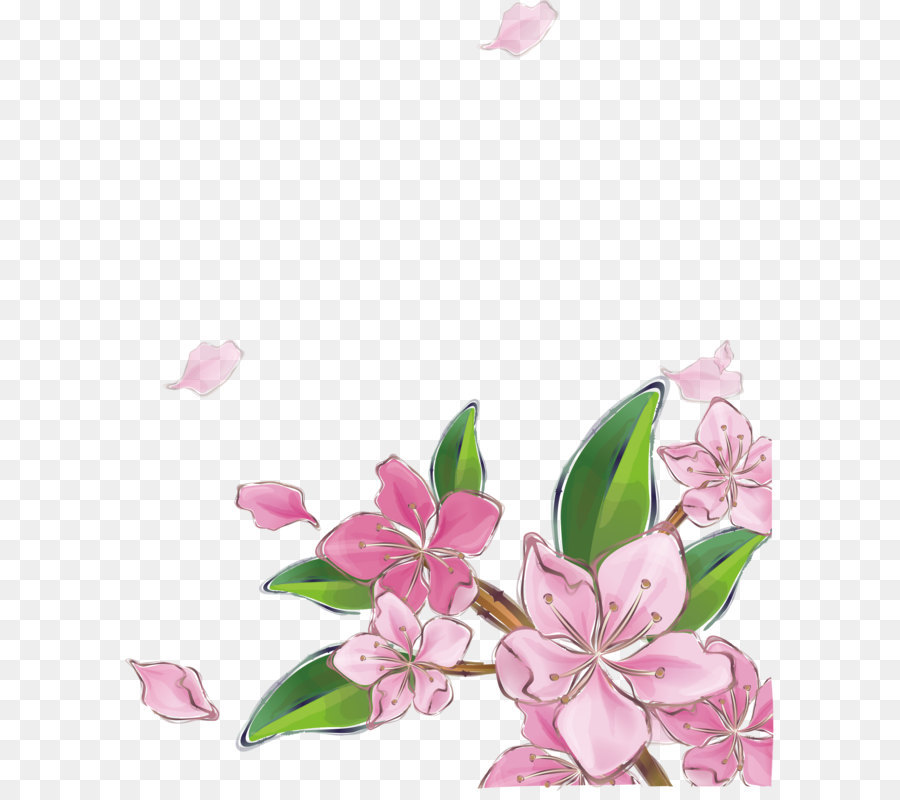 900x800 Pink Peach Blossom Vector Png Download