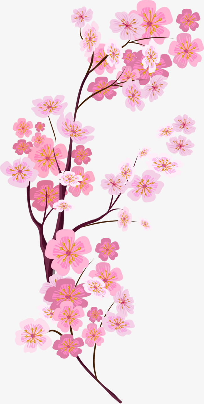 650x1287 Vector Painted Pink Cherry Blossoms, Vector, Hand Painted, Pink