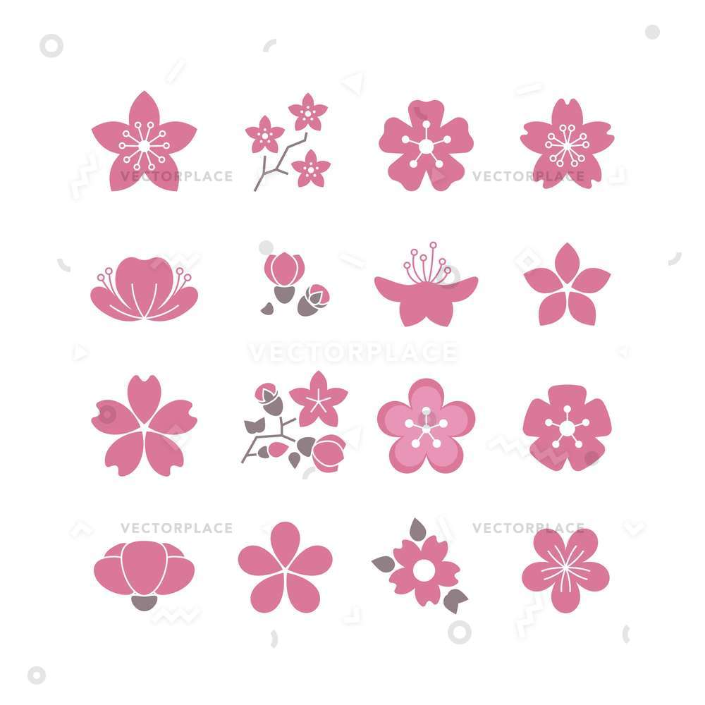 1000x1000 Cherry Pink Flower Spring Sakura Blossom Vector Illustration 53767