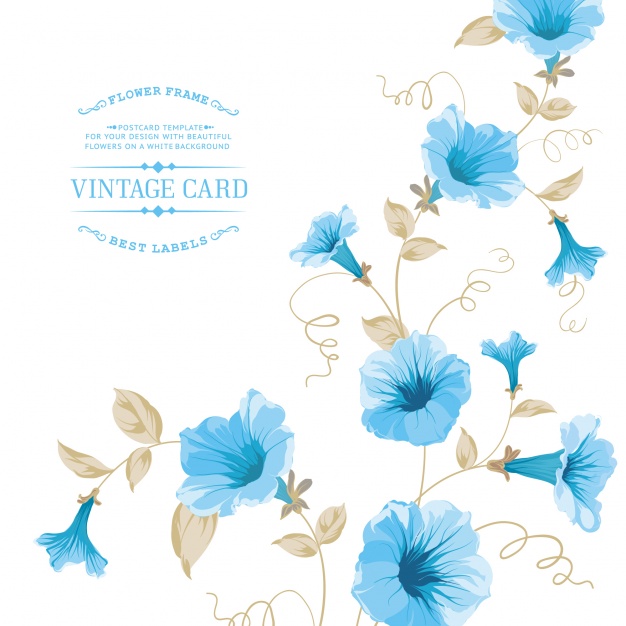 626x626 Template With Blue Flowers Vector Premium Download