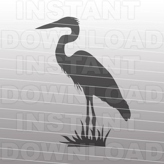570x570 Great Blue Heron Svg File Cutting Template Clip Art For Etsy