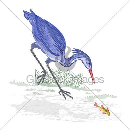 500x500 Heron And Fish Vector Illustration Gl Stock Images