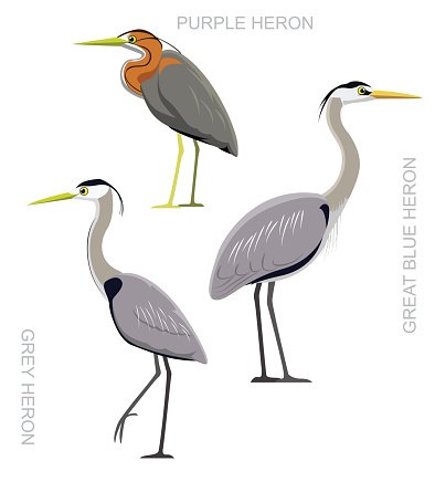 394x436 Bird Heron Set Cartoon Vector Illustration Premium Clipart