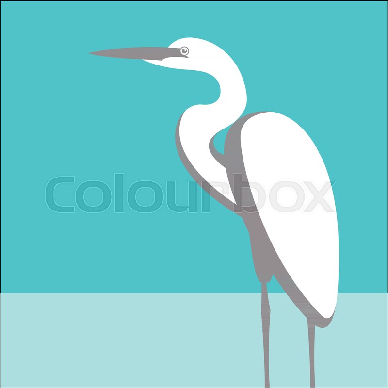 800x800 Heron White Vector Illustration Profile Side Flat Style Stock