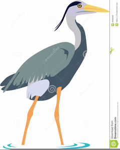 239x300 Blue Heron Clipart Free Images
