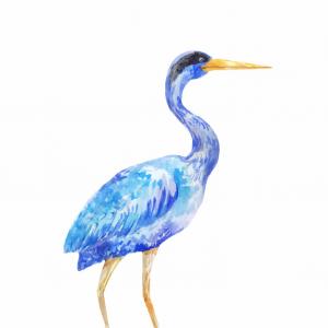 300x300 Watercolor Blue Heron Of A Standing Bird Vector Geekchicpro