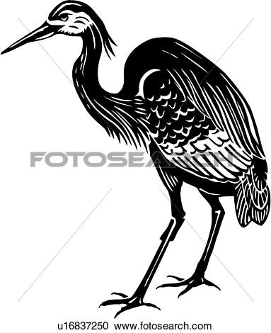 Blue Heron Vector at GetDrawings | Free download