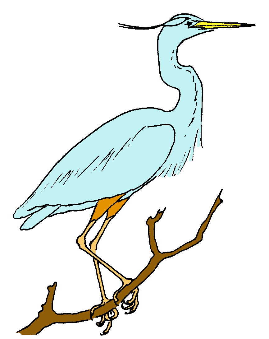 866x1090 Blue Heron Clipart Vector 8