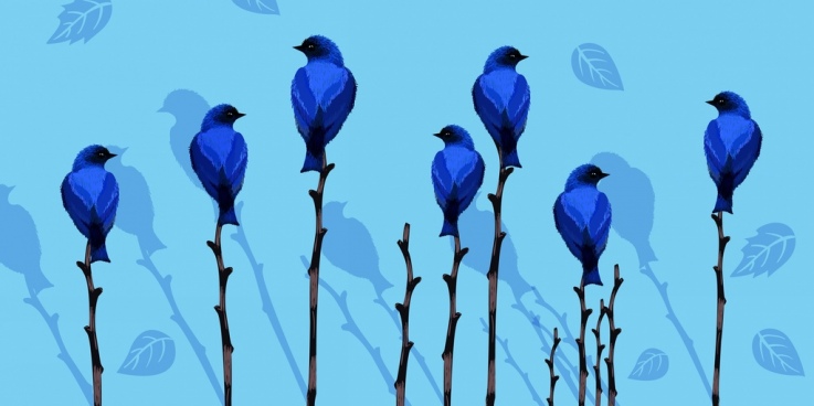 737x368 Blue Jay Bird Free Vector Download (9,636 Free Vector) For