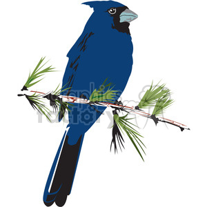 300x300 Royalty Free Blue Jay Bird 395002 Vector Clip Art Image