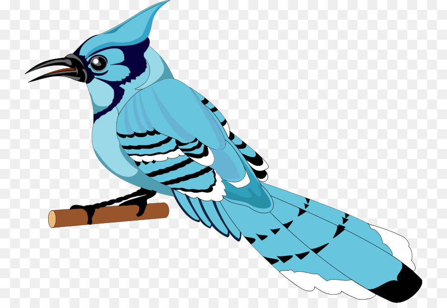 900x620 Toronto Blue Jays Bird Clip Art