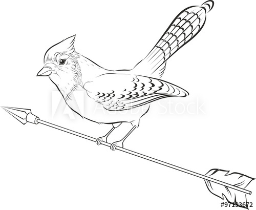 500x410 Vector Illustration Of Blue Jay Silhouette. Bird.