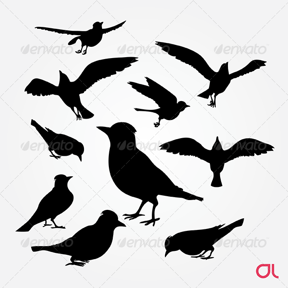 590x590 Birds Blue Jay Silhouette Vector Set By Vixual Graphicriver