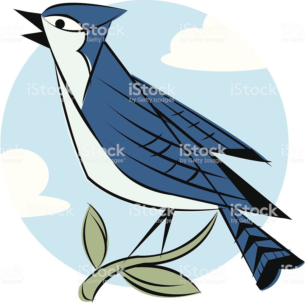 1024x1018 Blue Jay Bird Vector Id165695457 Clipart
