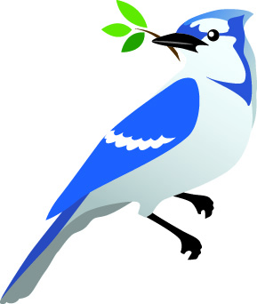 289x342 Blue Jay Clipart Vector 4