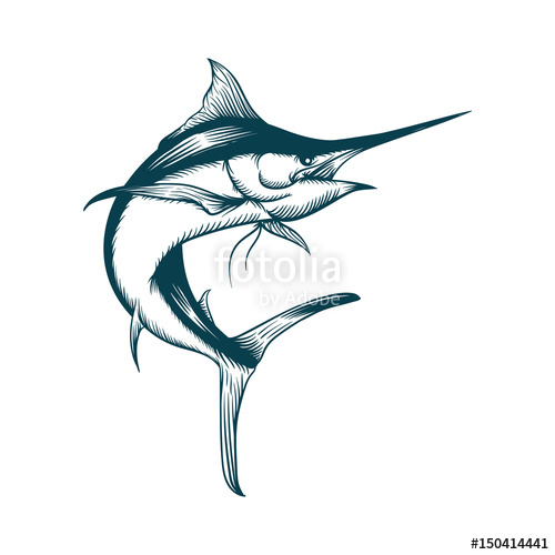 500x500 Blue Marlin Stock Image And Royalty Free Vector Files On Fotolia