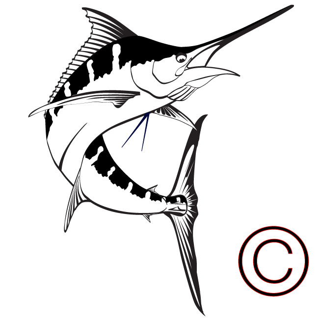 650x650 Blue Marlin Vector Art, Clipart Panda