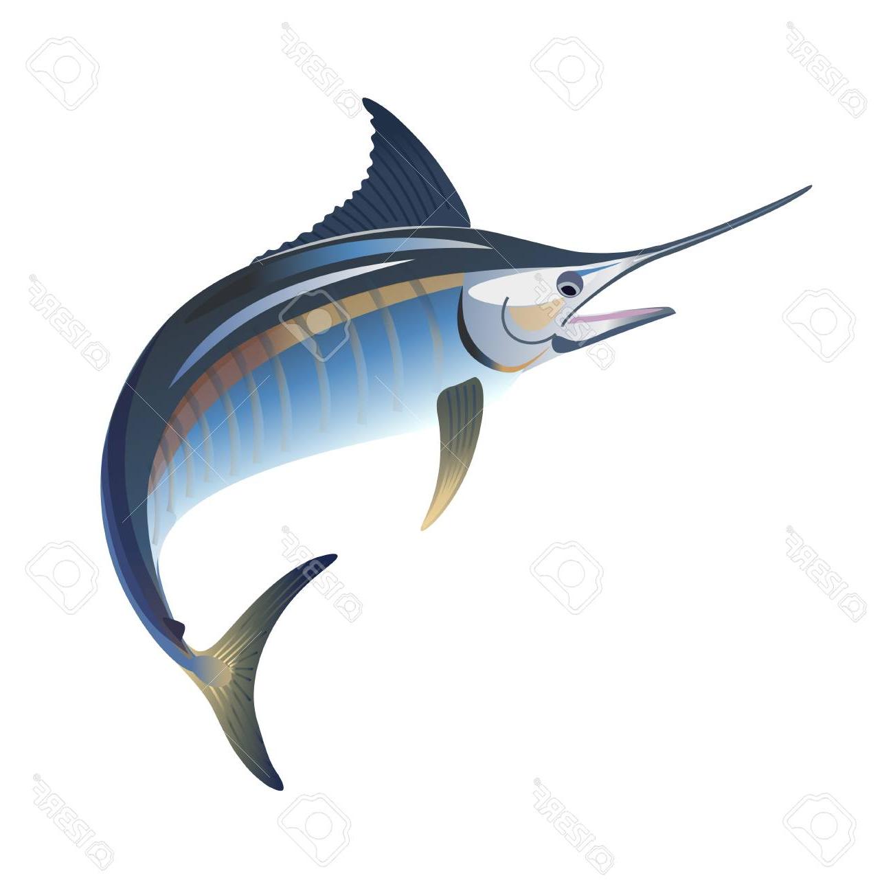 Blue Marlin Vector at GetDrawings | Free download