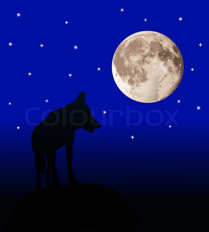 720x800 Vector Wolf Anf Full Moon Stock Vector Colourbox