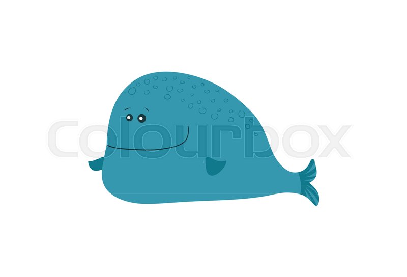 800x544 Blue Whale Vector Illustration Isolated On White Background. Cute