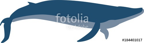 500x151 Blue Whale Vector Silhouette Stock Image And Royalty Free Vector