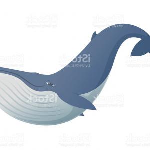 300x300 Cute Funny Blue Whale Gm Sohadacouri