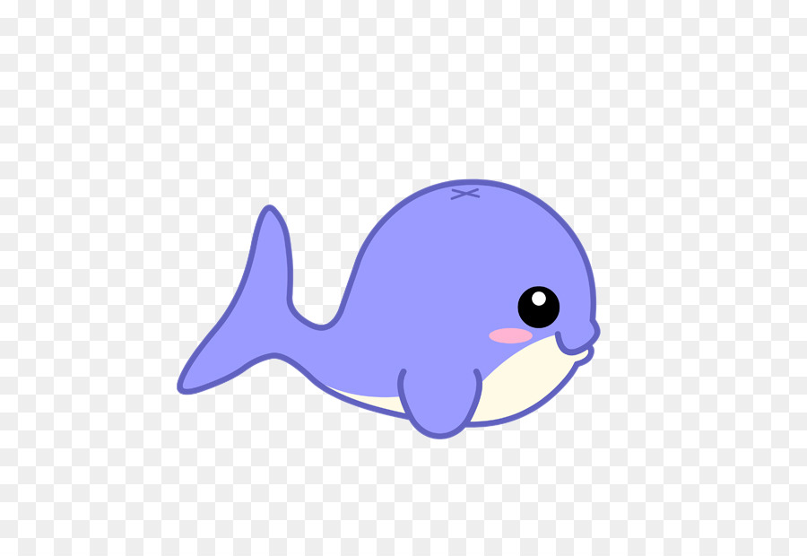 900x620 Dolphin Blue Whale Porpoise