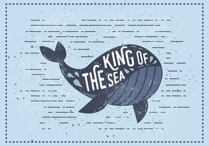 700x490 Whale Free Vector Art